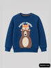 Boys Sweatshirts