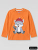 Boys T-Shirts