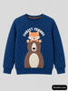 Boys Sweatshirts