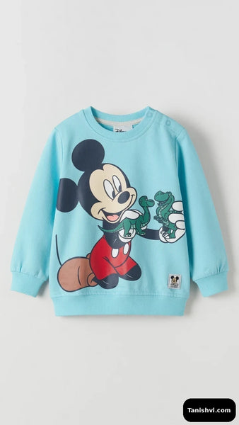 Boys Sweatshirts
