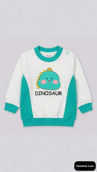 Boys Sweatshirts