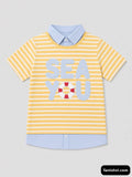 6y Yellow