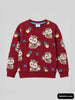 Boys Sweatshirts
