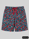 5y Multicolor